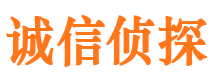 广南诚信私家侦探公司